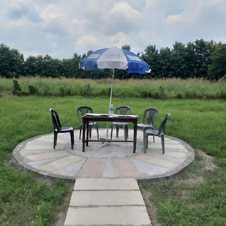 Nature Homestay 瓦拉纳西 外观 照片