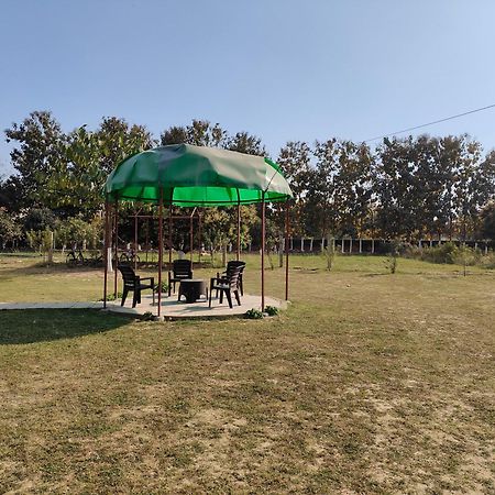 Nature Homestay 瓦拉纳西 外观 照片