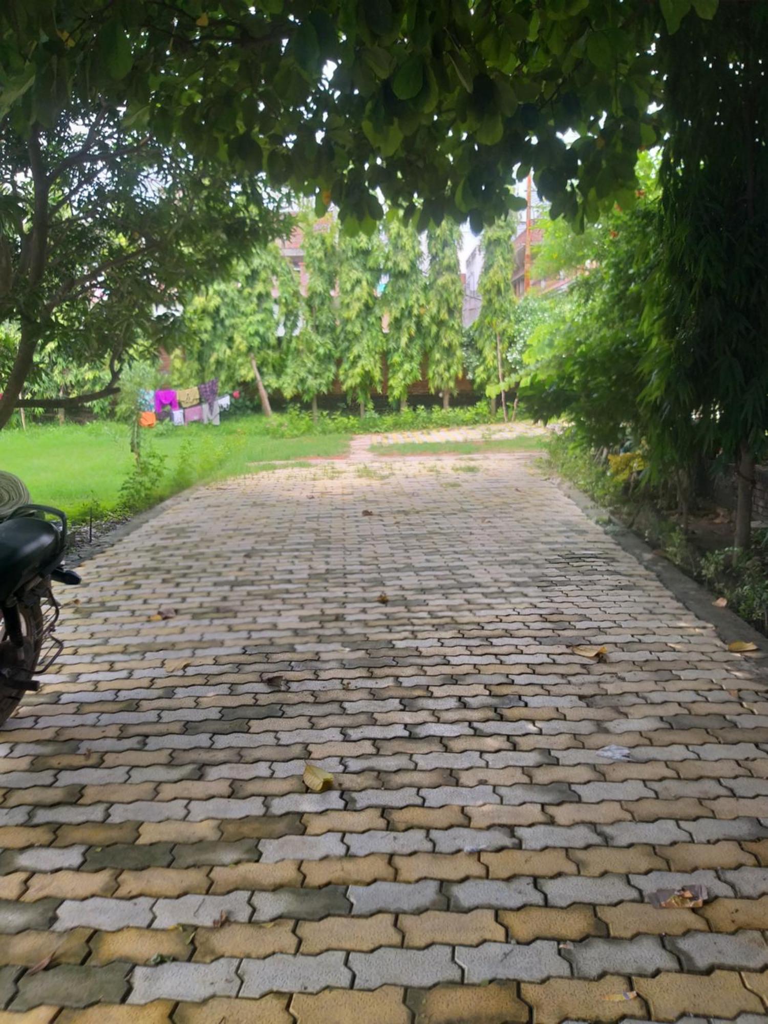 Nature Homestay 瓦拉纳西 外观 照片