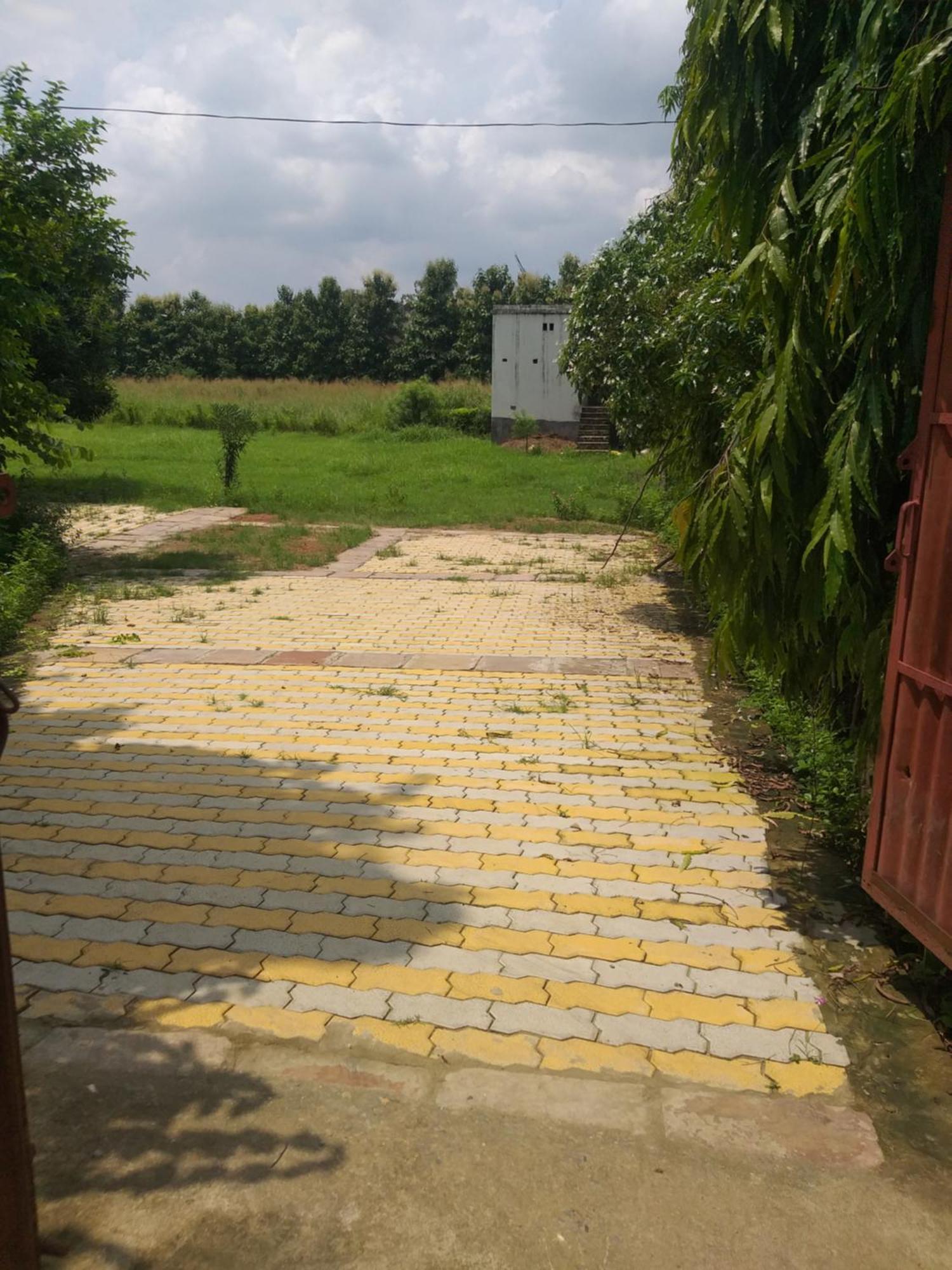 Nature Homestay 瓦拉纳西 外观 照片