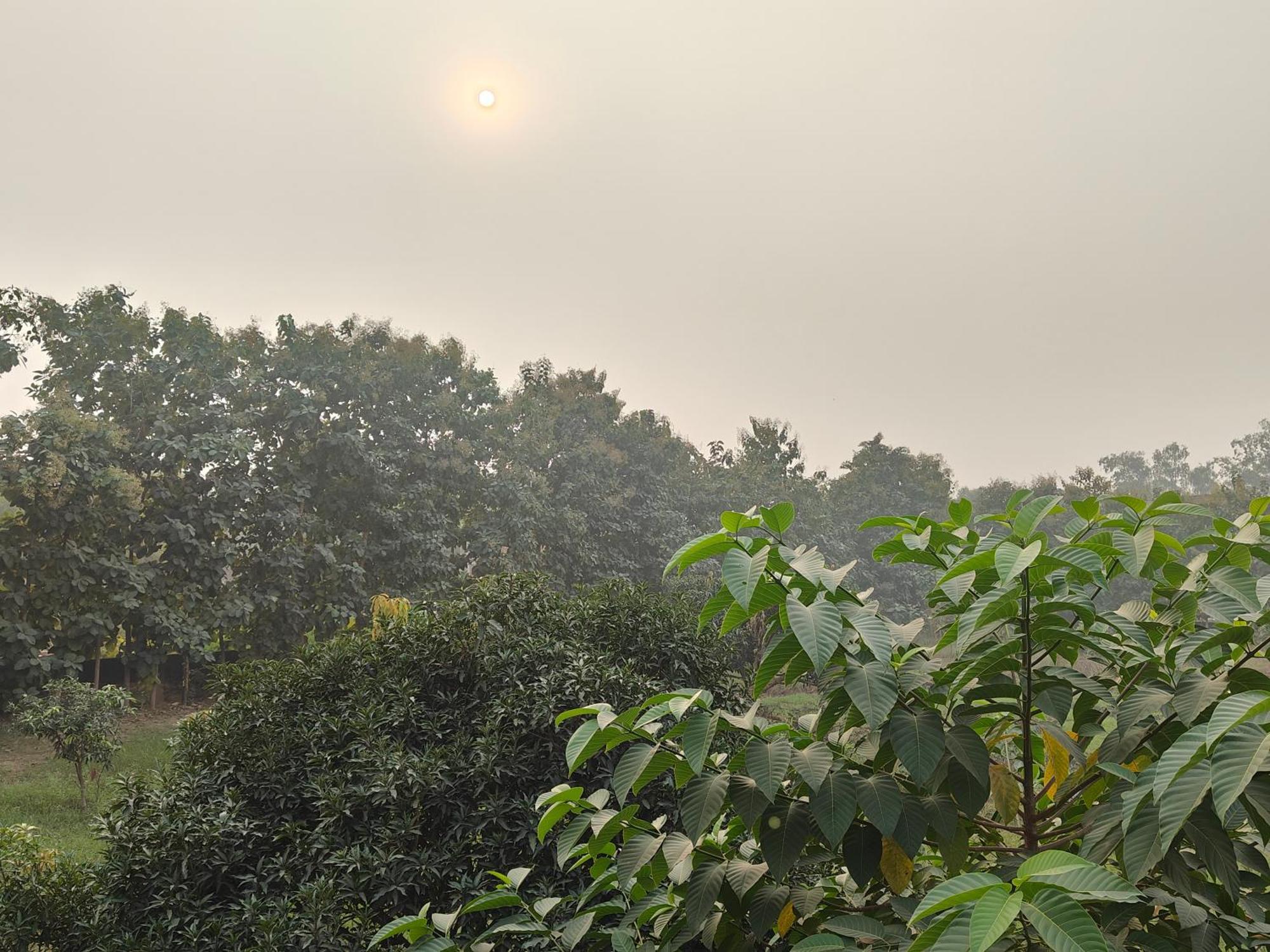 Nature Homestay 瓦拉纳西 外观 照片